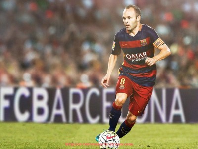 人人体育直播-世俱杯赛场草坪标准要求及养护工艺揭秘